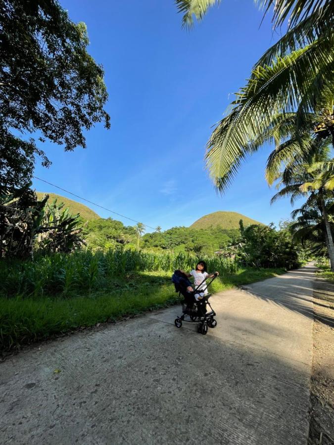 לינה וארוחת בוקר Carmen  Casa Aguelo Chocolate Hills מראה חיצוני תמונה